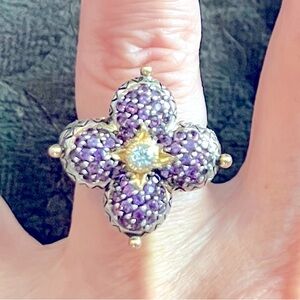 Barbara Bixby Amethyst Sterling Silver, 18k Gold Ring
